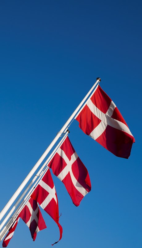 Danske flag<br/>(til 5,5 m flagstang)